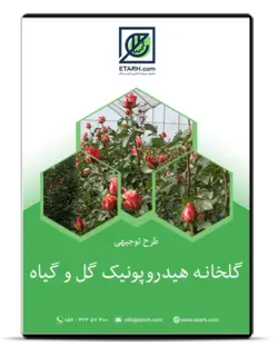 طرح توجیهی گلخانه هیدروپونیک گل و گیاه ۳۰۰۰ مترمربع– زمستان ۱۴۰۰