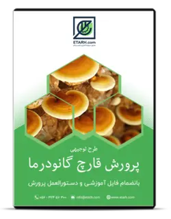 طرح توجیهی پرورش قارچ گانودرما – بروزرسانی ۹۹