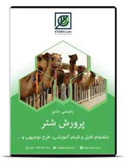بسته آموزشی و طرح توجیهی پرورش شتر – بروزرسانی ۱۳۹۸