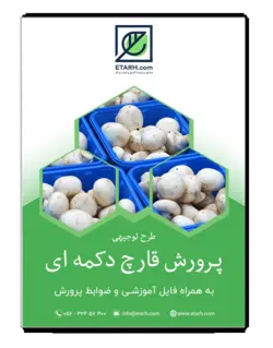 راهنمای جامع پرورش قارچ