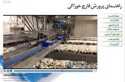 راهنمای جامع پرورش قارچ