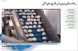 راهنمای جامع پرورش قارچ