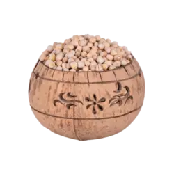 نخود نیشابوری