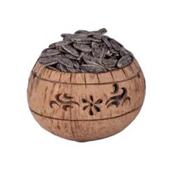 تخمه کانادایی نمکی