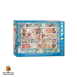 پازل 1000 تکه (6000-5529)Seashell Collection یوروگرافیکس (Euro ghraphics)