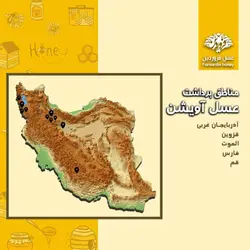 عسل آویشن فروردین (650 گرم)