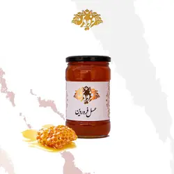 عسل آویشن فروردین (850 گرم)