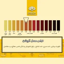 عسل آویشن فروردین (850 گرم)
