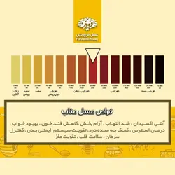 عسل عناب فروردین (850 گرم)