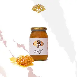 عسل گون گز فروردین (650 گرم)