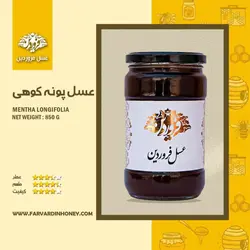 عسل پونه کوهی فروردین (850 گرم)