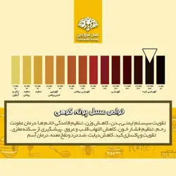 عسل پونه کوهی فروردین (850 گرم)