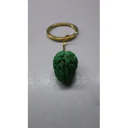 جاکلیدی طرح مغز سبز