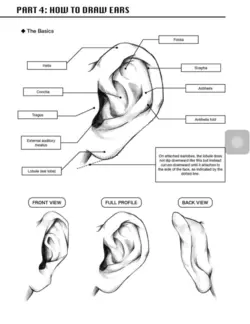 آموزش طراحی مانگا pdf مبانی و فراتر از آن (زبان اصلی)