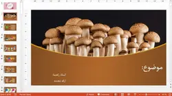 قالب پاورپوینت قارچ