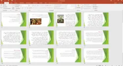 پاورپوینت بلوط ایرانی