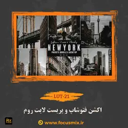 LUTs-21-اکشن فتوشاپ و پریست لایت روم Newyork Photoshop Action & Lightrom Presets
