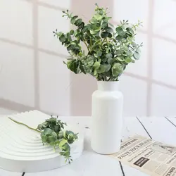 اکالیپتوس مینیاتوری