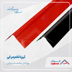 تیزه تخم مرغی