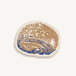 تارت زردآلو