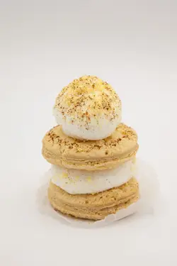 ناپلئونی گرد