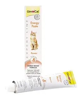 GIMCAT ENERGY PASTE