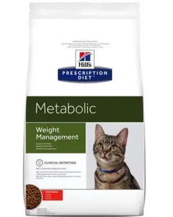 Metabolic Cat