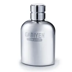 INTERIOR SILVER Sauvage 100 ml