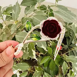 کلیپس چفتی گل رز آویزدار