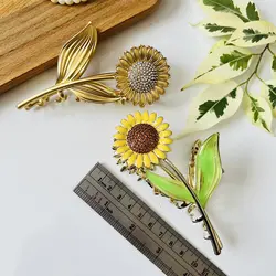 کلیپس گل آفتاب گردان رنگی