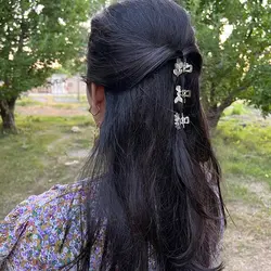 مینی کلیپس  فلزی عقیق