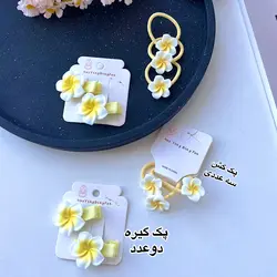 پک کش و گیره پلو مریا