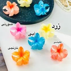 کلیپس پلومریارنگی