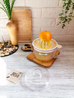 آبمیوه گیری درب دار باران