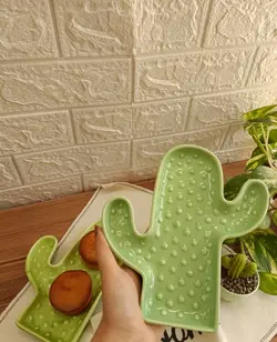 اردو خوری کاکتوس مایا هوم