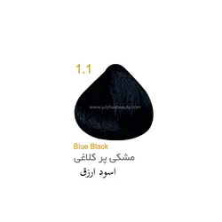 رنگ مو جولای پر کلاغی 1.1 حجم 100 میل Blue Black July