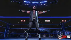 خرید بازی WWE 2K19 – کشتی کج ۱۹ برای کامپیوتر PC