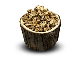 مغزگردوی دندانه