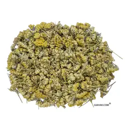 سرزردک (برنجاسف)