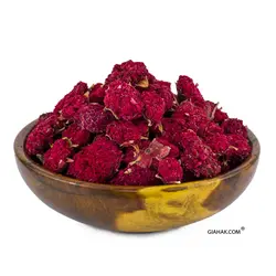 گلنار فارسی