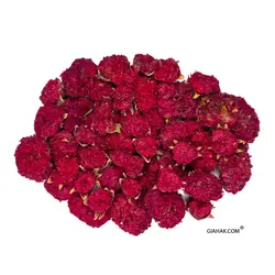 گلنار فارسی