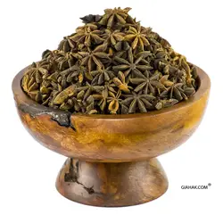 بادیان ستاره ای