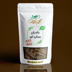 بادیان ستاره ای