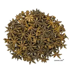 بادیان ستاره ای