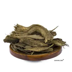 ریشه باباآدم