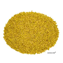 تخم شنبلیله