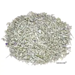 بادرنجبویه