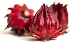 كشت چاي ترش در منزل