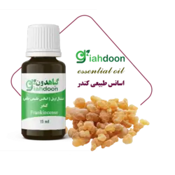 اسنشیال اویل کندر