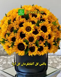 باکس گل لاکچری آفتابگردان کد 126